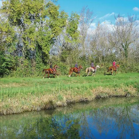 Cozy In With Kitchen Aigues-Mortes